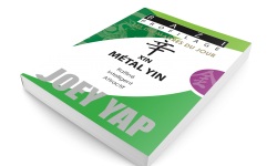Les Dix Maîtres du Jour – Xin Métal Yin par Joey Yap